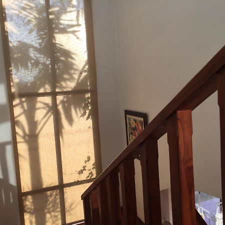 Casa Alice Marbella Lodge Экстерьер фото