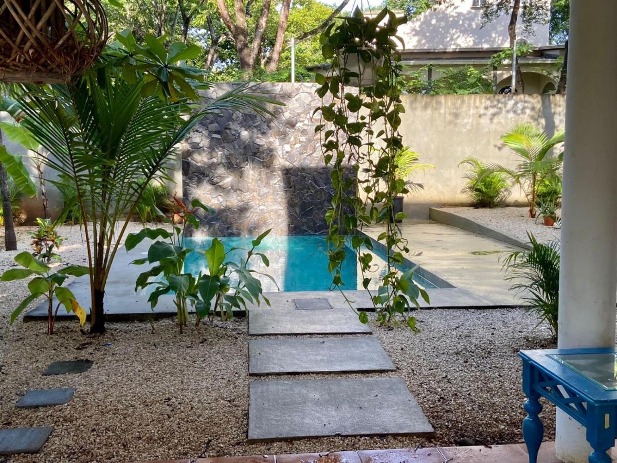 Casa Alice Marbella Lodge Экстерьер фото