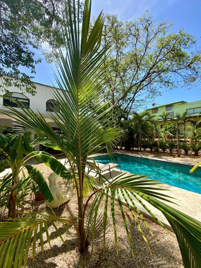 Casa Alice Marbella Lodge Экстерьер фото
