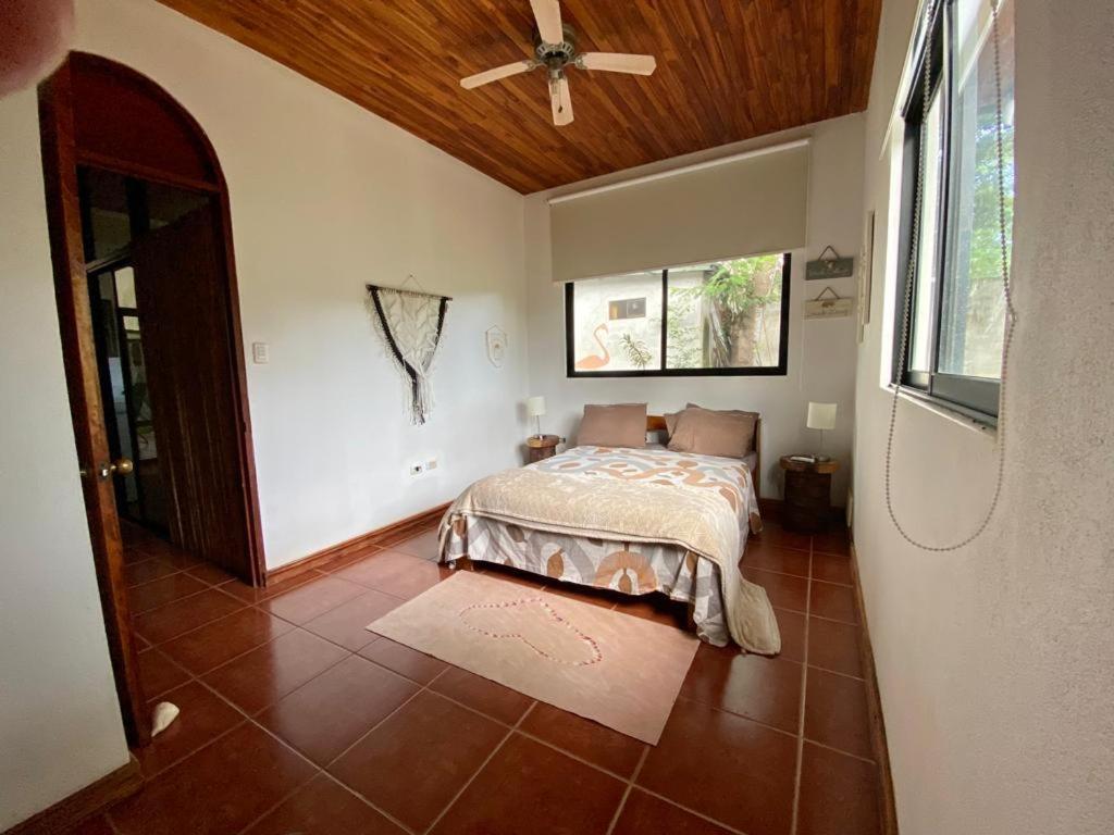 Casa Alice Marbella Lodge Экстерьер фото