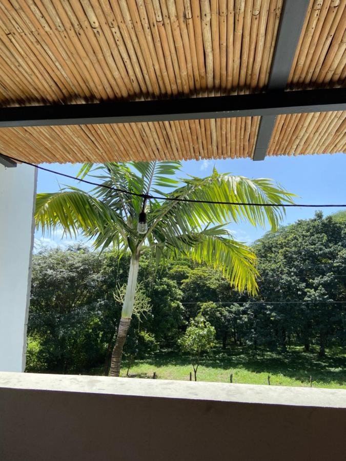 Casa Alice Marbella Lodge Экстерьер фото